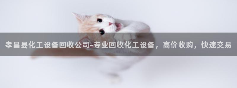 美狮贵宾会0925511