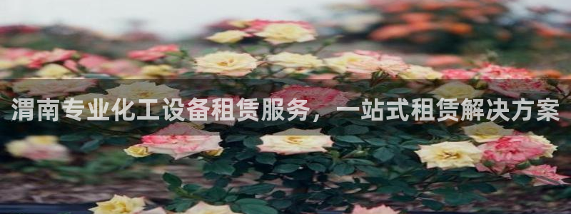 美狮 百度百科