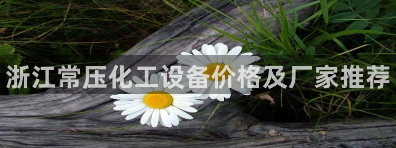 美狮贵宾会下载官方