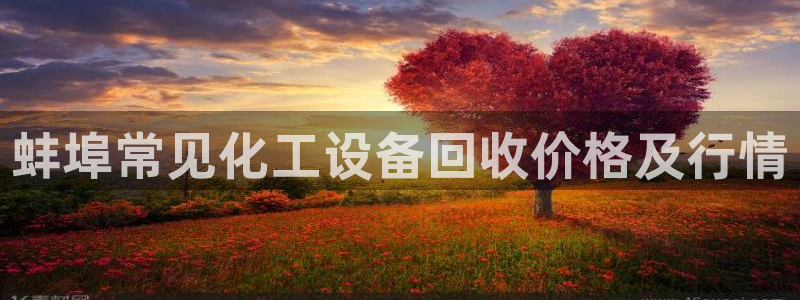 美狮贵宾会会员等级怎么看