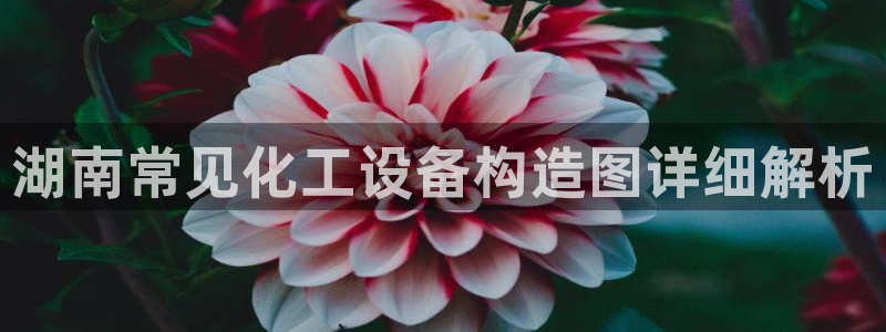 美狮会员卡等级划分标准