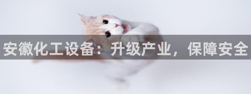 美狮官版2023最新版本下载