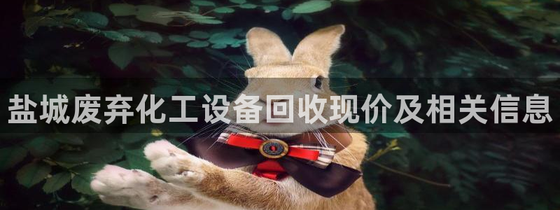 美狮科技