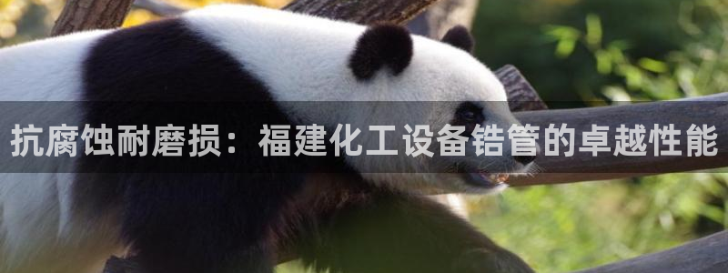 美狮是什么