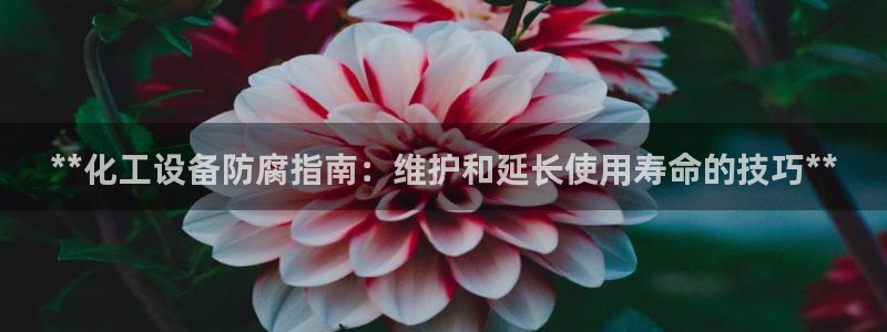 美狮会员卡等级划分图