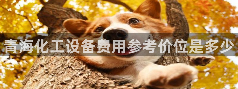 美狮充值中心