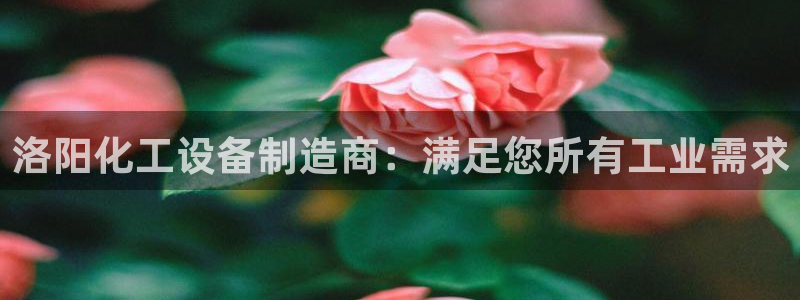 美狮贵宾会下载官方
