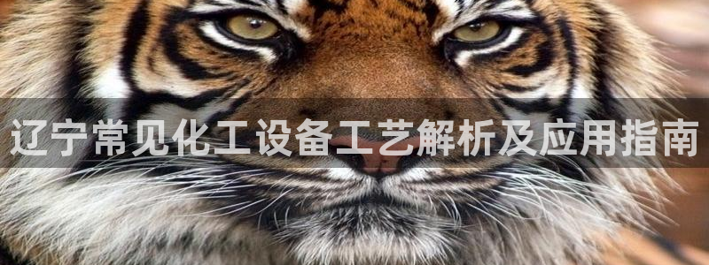 美狮会犯法吗