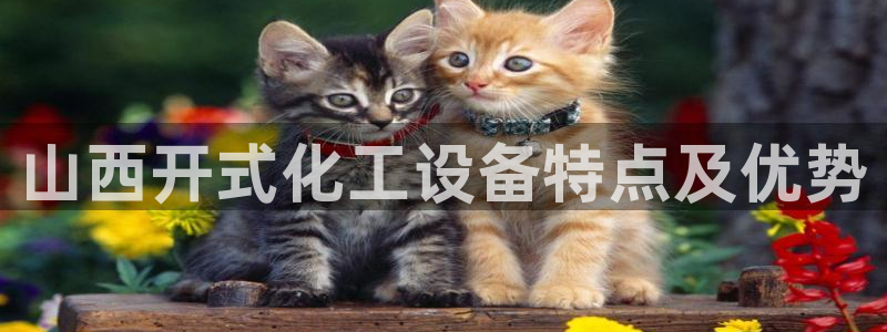 美狮贵宾快速充值中心
