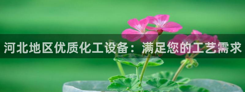 美狮传媒集团有限公司