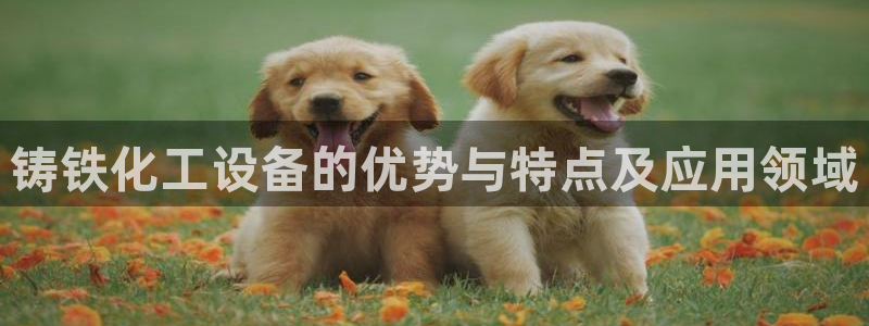 美狮贵宾会客户端下载