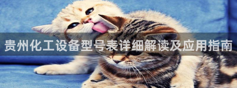 美狮会员卡等级划分标准