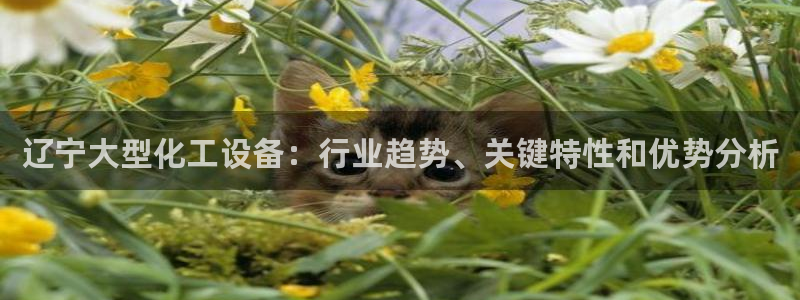 美狮会员网站