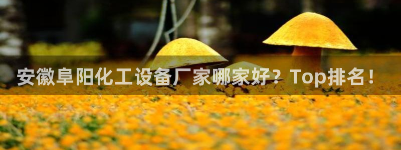 美狮贵宾会官网网址