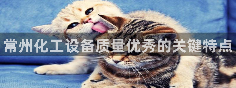 美狮会怎么样
